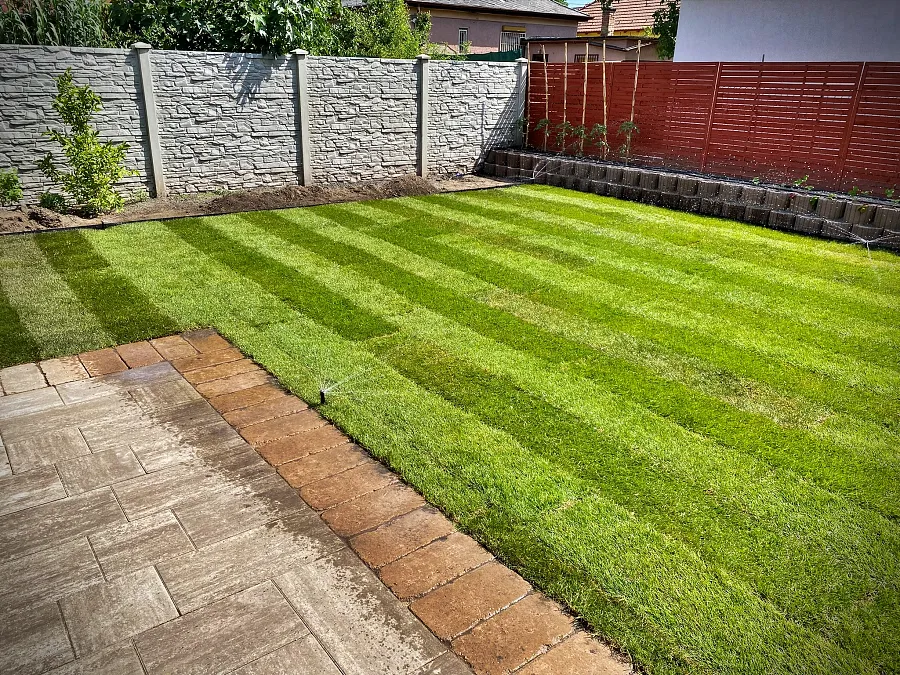 smilegarden_IMG_2053