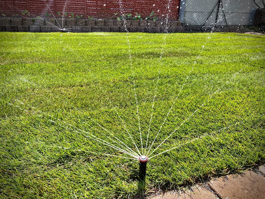 smilegarden_IMG_2054