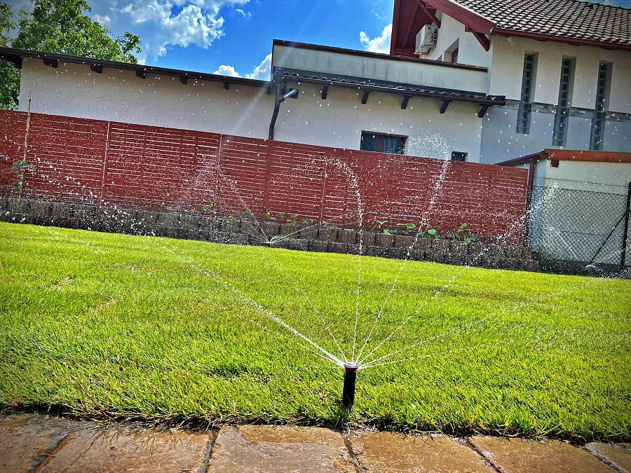 smilegarden_IMG_2055
