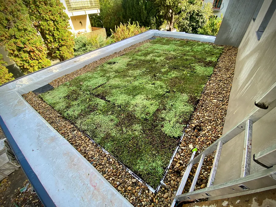smilegarden_IMG_3346