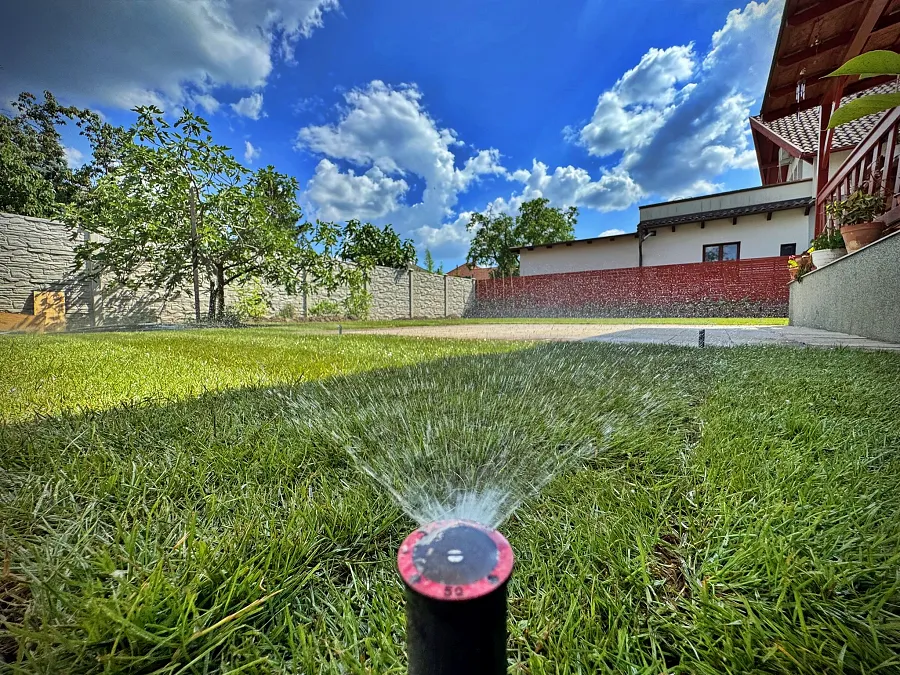 smilegarden_IMG_8037