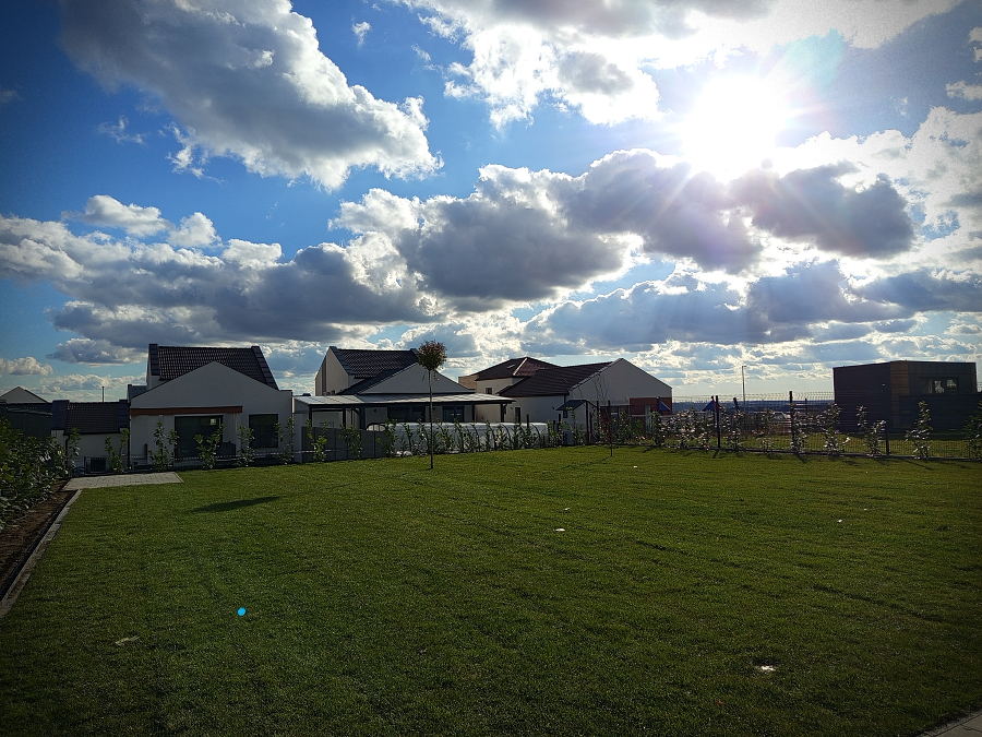 smilegarden_IMG_20241121_123018