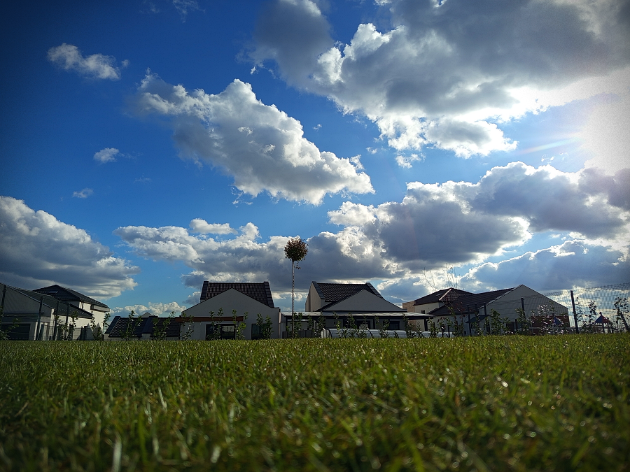 smilegarden_IMG_20241121_123048